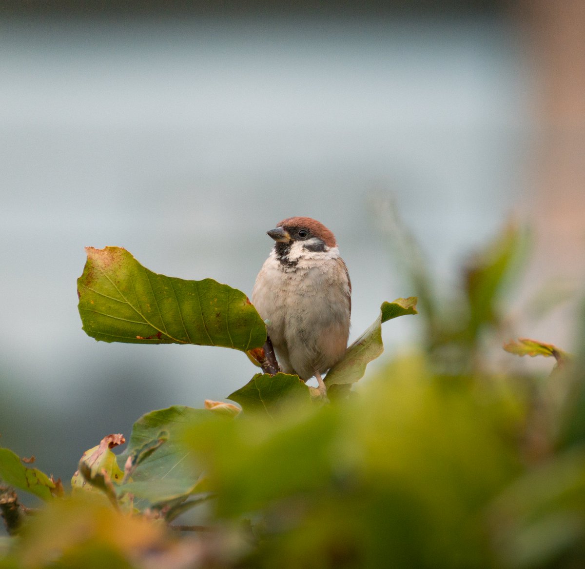 UnaxePictures tweet media