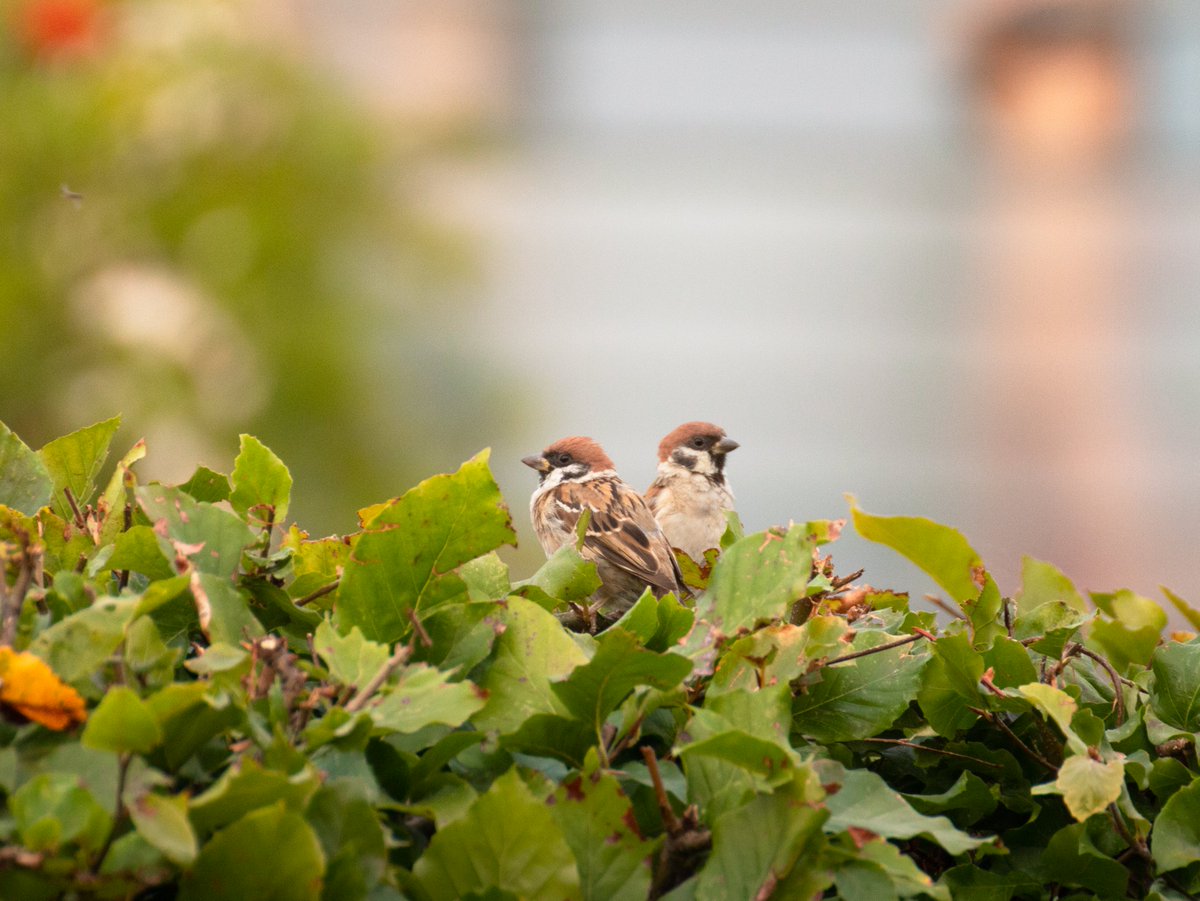 UnaxePictures tweet media