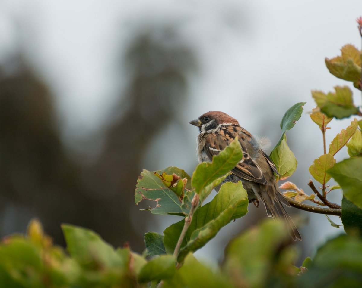 UnaxePictures tweet media