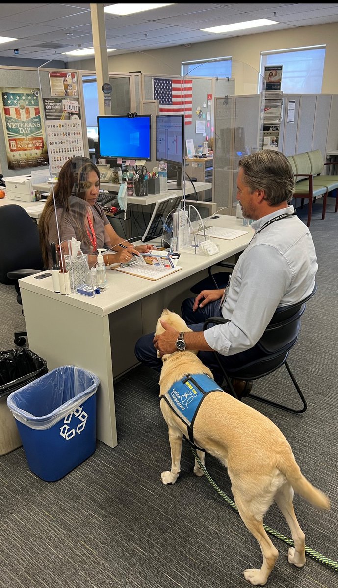 SMC_CVSO's tweet image. Today is National Dog Day. Dogs play a huge role in helping support our veterans. Find out more about guide and Service Dogs at va.gov/MS/Veterans/be…