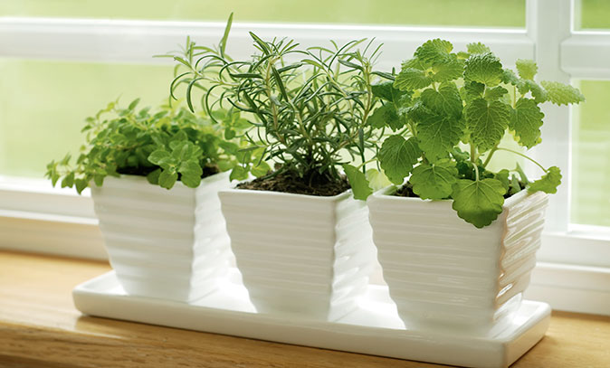 BreeSweetEXP's tweet photo. Adding houseplants might be all your home needs for a fresh look. #homeimprovement #interiors  https://t.co/6NzeoQQAab https://t.co/NRr9gzrVHq
