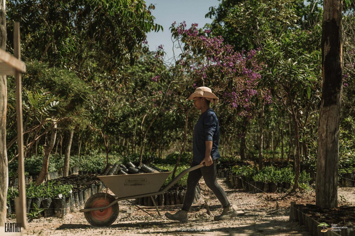 eden__plus's tweet photo. We are excited to announce that @projectearthly is now a Grove level partner! They have funded the planting of over 480,000 trees! Thank you to all of our partners who support the planting of millions of trees. #EarthlyinAction #NatureBasedSolutions #ProjectEarthly https://t.co/XeyJejQH8N