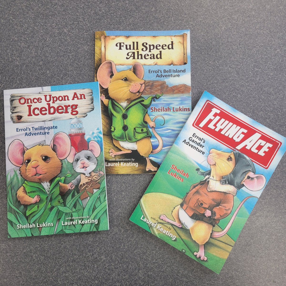 Errol the mouse travels around Newfoundland learning the history and stories of different places. Young readers love to join Errol on his adventures!