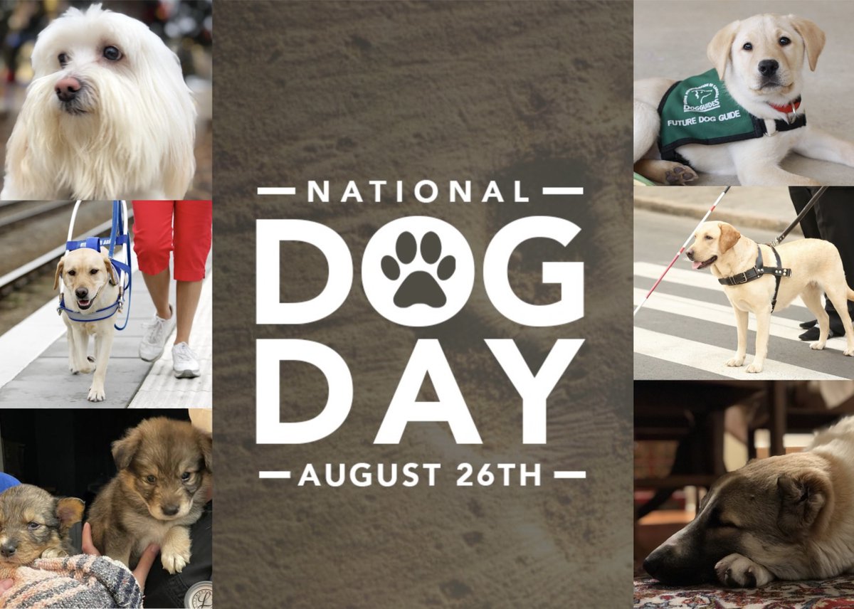 McMaster Paediatric Eye Research Group tweet media