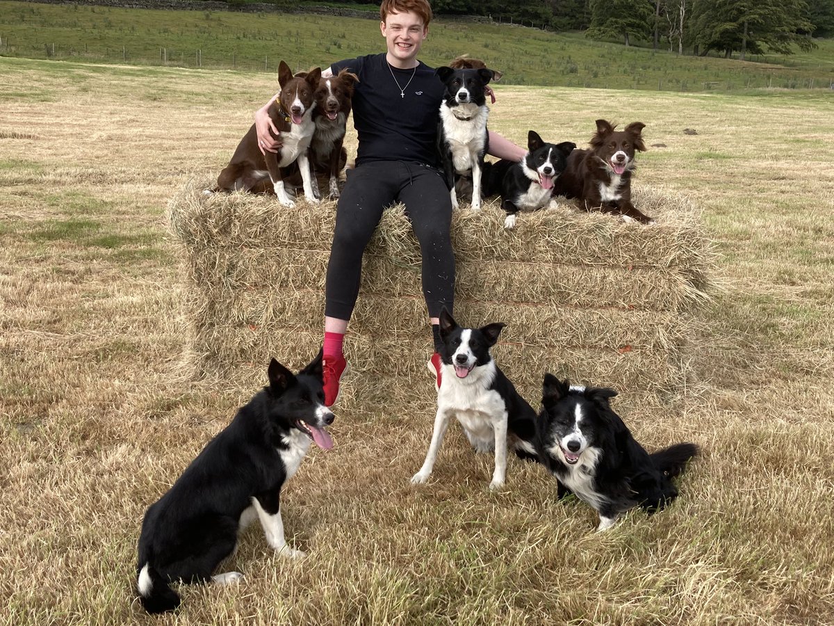 PoshJoshnGinger's tweet photo. #InternationalDogDay - best day of the year ❤️ #BorderCollie #dogagility #tvdogs #Cruftswinners https://t.co/pPryDYQF91