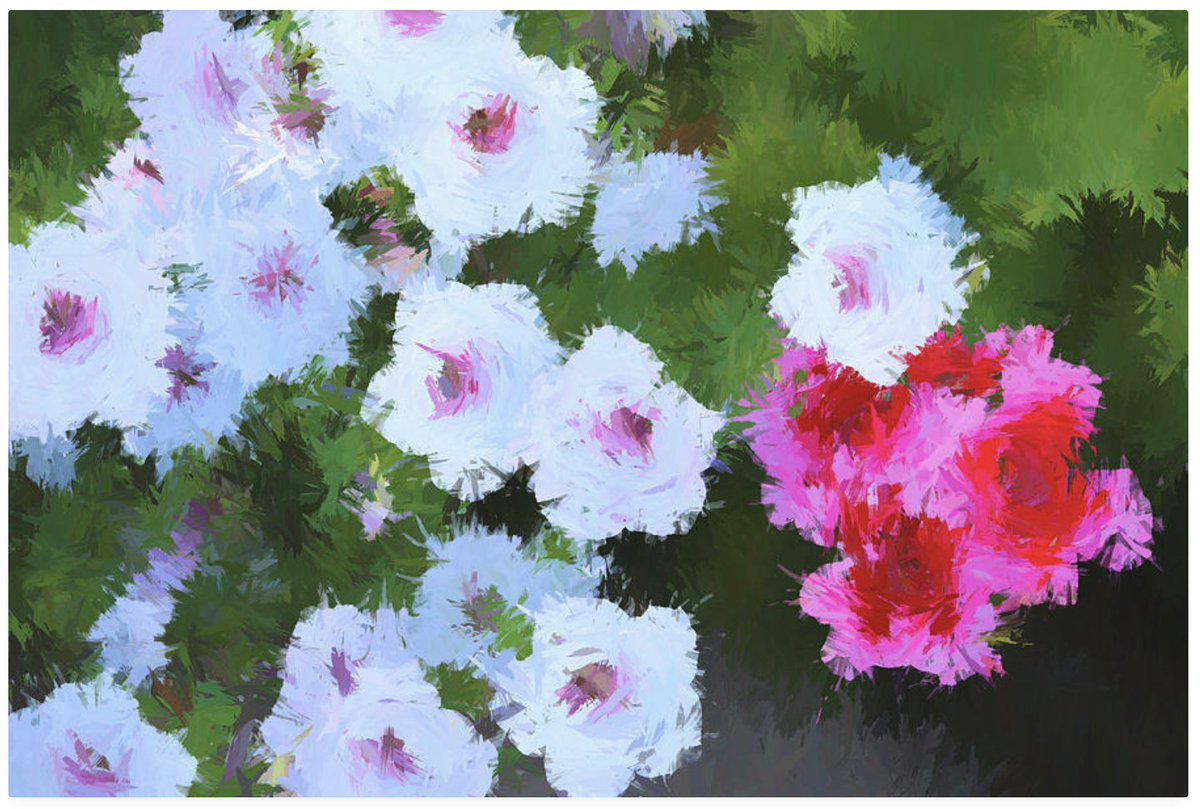 marybedy's tweet photo. Floral Abstract 082622
https://t.co/9cQ6DFJiFc #floralabstract #flowerabstract #marybedy https://t.co/cAo5WSe2NC