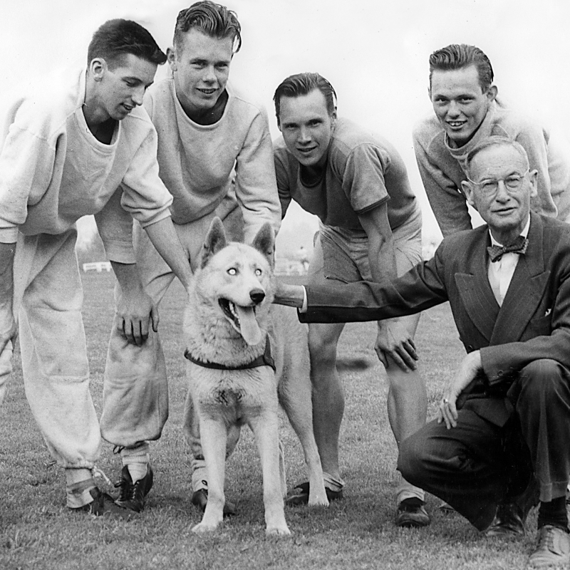 UWAthletics's tweet photo. This year is the 100-year anniversary of live mascots at Washington! 

From Frosty I in 1922 to @DubsUW today, we've had a lot of very good dawgs rep the purple and gold.

#GoHuskies x #NationalDogDay