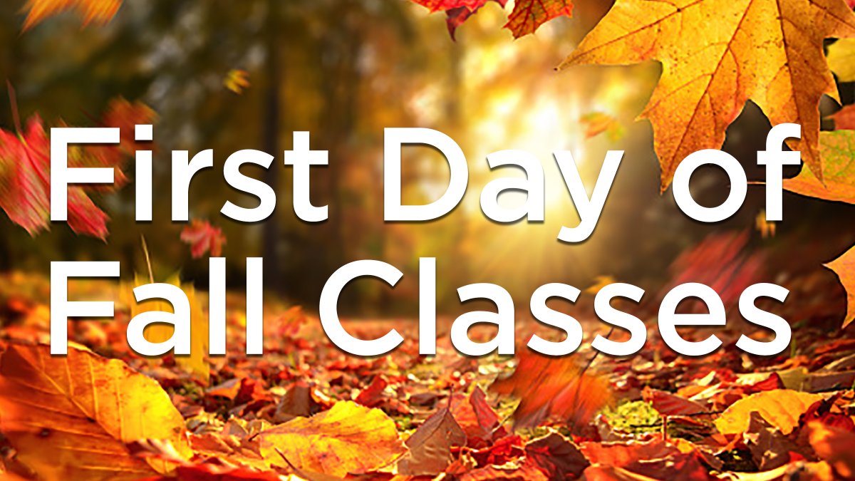 TouroNYSCAS's tweet image. A new semester begins today! 🚀 Are you ready? What are the courses you are most excited about? Let us know in the replies below 💬 #backtoschool #newsemester #fall22