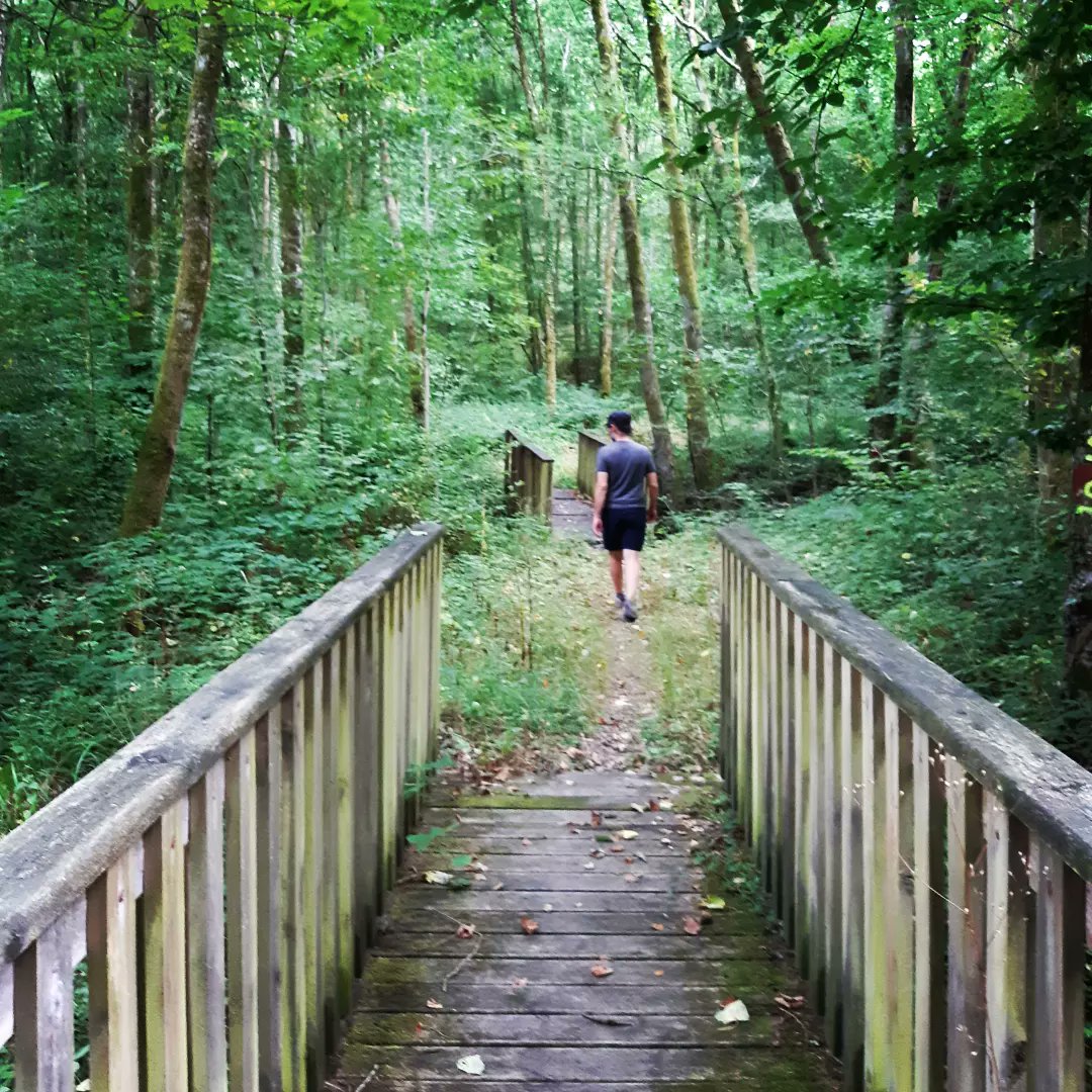 VelosPierrot's tweet photo. En direct de la forêt de Signy-l'Abbaye. Ressourcez vous dans les Ardennes 
#ardennestourisme #slowtourisme #randonnée #sejourvelo https://t.co/QMVUmqGgpu