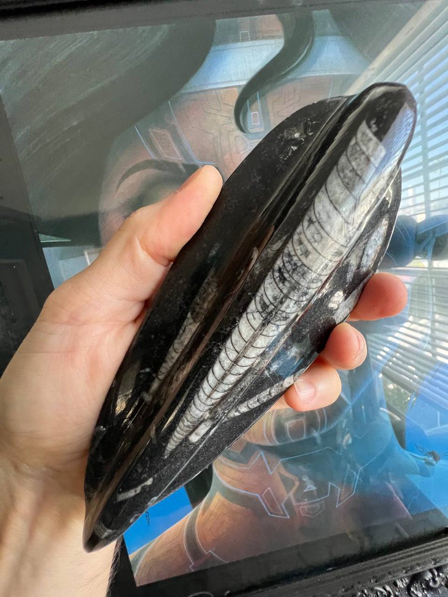 ₣Ⱡɨ₱🛹💎⚡️Flipacadabra tweet media