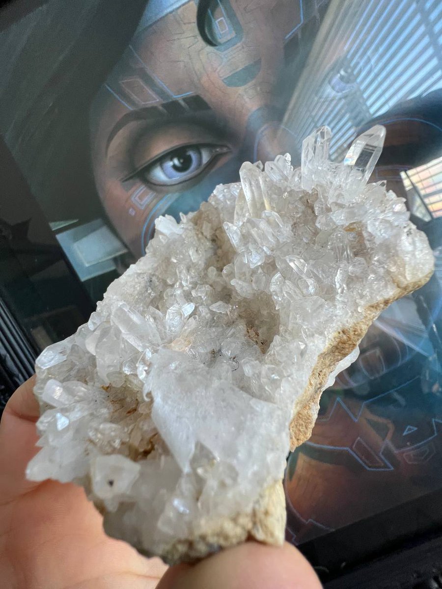 ₣Ⱡɨ₱🛹💎⚡️Flipacadabra tweet media