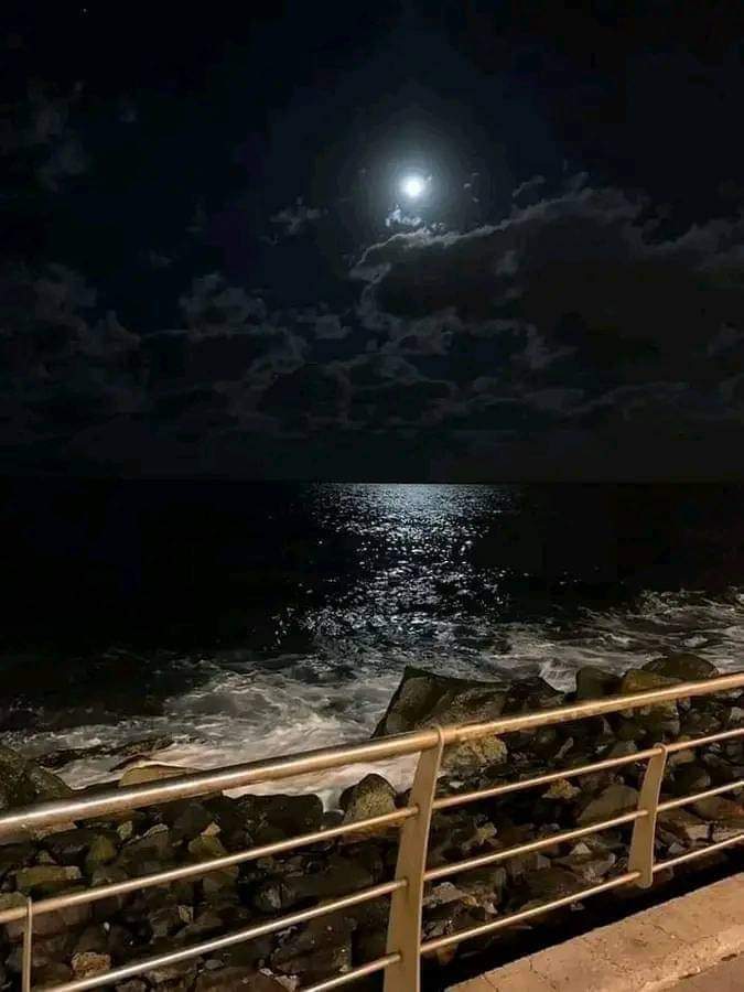 مع هدوء الليل ؛
اللهم إجعلنا في عنايتك فلا يضرنا بشر ولا يبكينا قدر .♥️🙏