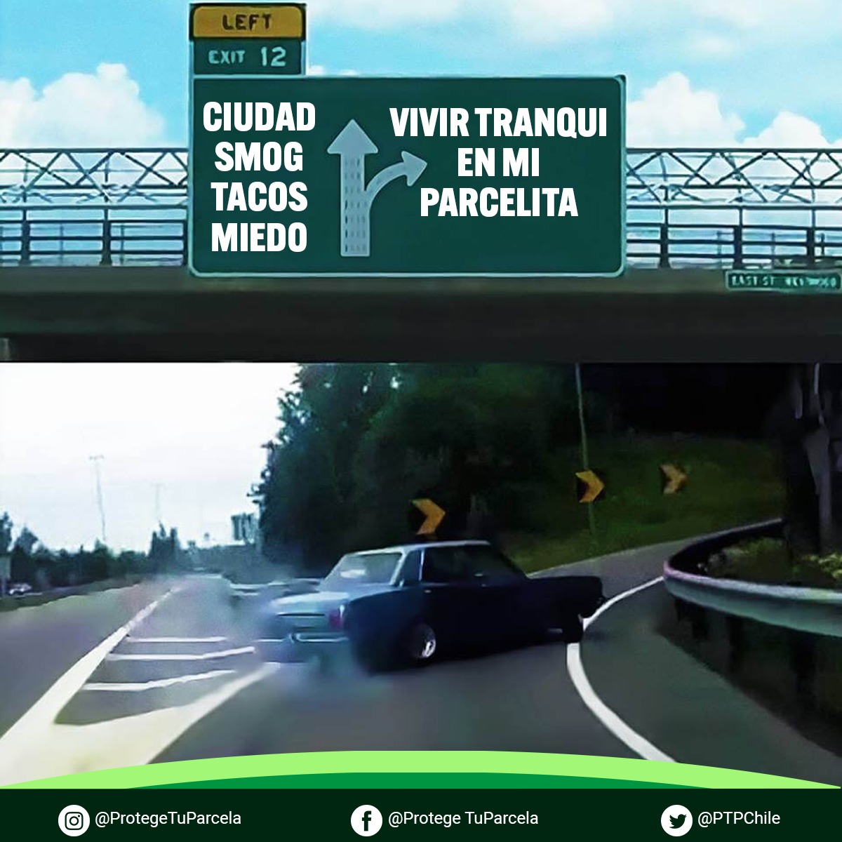 ptpchile's tweet photo. 💚
#protegetuparcela #regularnoprohibir #parcelaschile #ley3516 #clasemedia #protegetuvivienda https://t.co/BygAsAFHfp