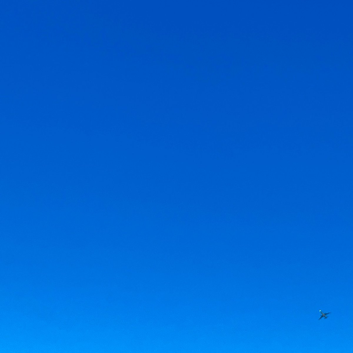 PaulaPhoto007's tweet photo. On Approach. Can you find it? Click to zoom out.
#photography #onapproach #minimalism https://t.co/F39cH1VHJZ