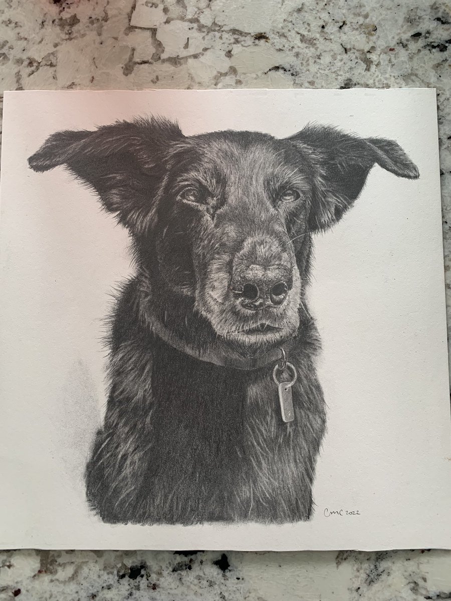 jenniferahkoop's tweet photo. My former Master’s student, Carly Crow, just sent me an amazing hand drawn portrait of my fur baby!!! I cannot thank her enough and encourage everyone to check out her work. She is amazing!!! #imnotcrying #yourcrying #scientificillustrator https://t.co/lDE58MmrWg https://t.co/gpQqSu6pXt