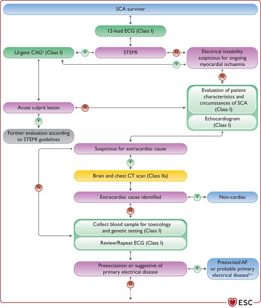 🚨Must read🚨

➡️ The new 2022 ventricular #Arrhythmias and #SuddenCardiacDeath Guidelines 

🔗: bit.ly/3KqOyJq

Presented at #ESCcongress