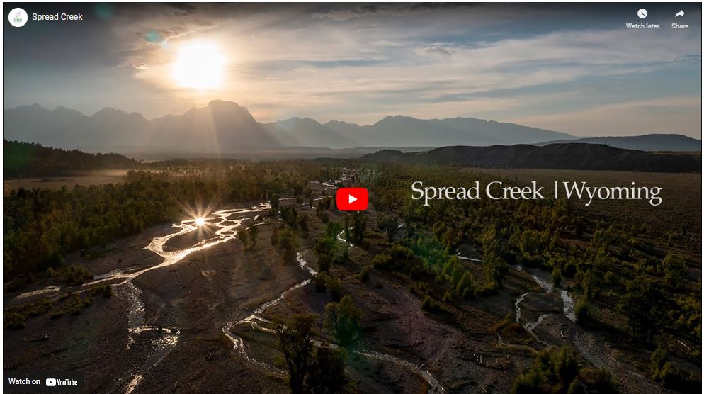 Western Native Trout (@wnativetrout) on Twitter photo Congratulations to <a href="/TroutUnlimited/">Trout Unlimited</a>
and all our partners on the release of a beautiful film about the Spread Creek, Wyoming, project. #WNTIprojects #campaignforwesternnativetrout #Yellowstonecutthroatrout youtube.com/watch?v=CVlp1g… Congratulations to <a href="/TroutUnlimited/">Trout Unlimited</a>
and all our partners on the release of a beautiful film about the Spread Creek, Wyoming, project. #WNTIprojects #campaignforwesternnativetrout #Yellowstonecutthroatrout youtube.com/watch?v=CVlp1g…