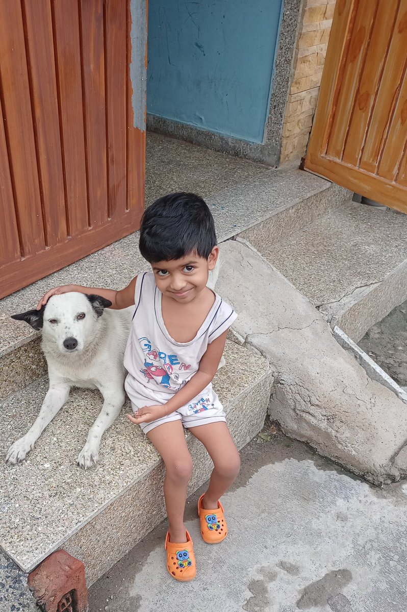 Gunjan_Srivas's tweet photo. Two kids 🥰🥰 #InternationalDogDay @dogitization https://t.co/ml2JskTplF