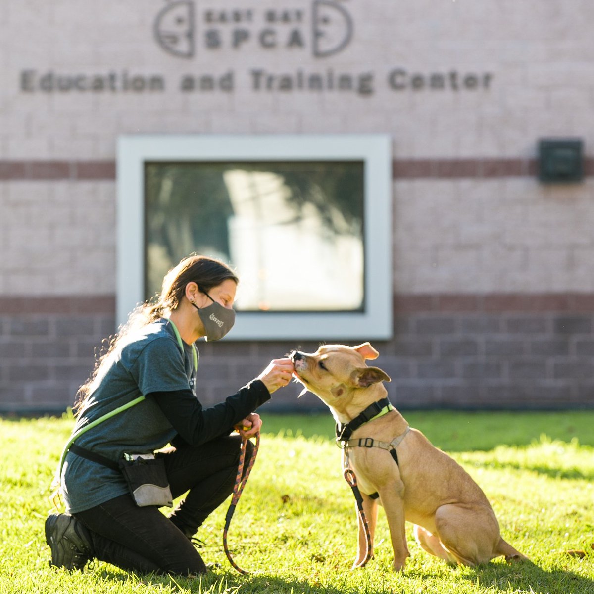 DevilMtnRun's tweet photo. Today is @NationalDogDay. We want to help you celebrate this by taking 10% off your entry when registering for the Buddi Love Dog Mile. Use Code Buddi22. Coupon good through Saturday evening at midnight. Thank you @EastBaySPCA for being a partner of the Devil Mtn Run. https://t.co/iCZQnaeRJV