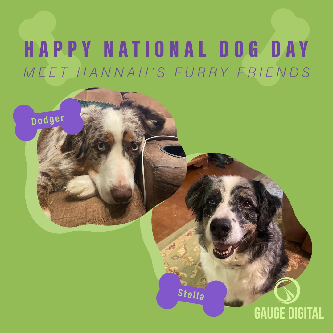 GaugeDigital's tweet photo. "Sorry about my dogs, we're working from home." 🐶

Today we would like to introduce the team members that many of our clients have heard (in the background of zoom meetings) but don’t know on a first-name basis. 

#NationalDogDay #dogcoworker #workfromhome #furryfriendfriday https://t.co/GpI1l93OCr