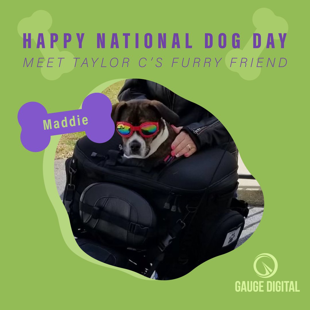 GaugeDigital's tweet photo. "Sorry about my dogs, we're working from home." 🐶

Today we would like to introduce the team members that many of our clients have heard (in the background of zoom meetings) but don’t know on a first-name basis. 

#NationalDogDay #dogcoworker #workfromhome #furryfriendfriday https://t.co/GpI1l93OCr