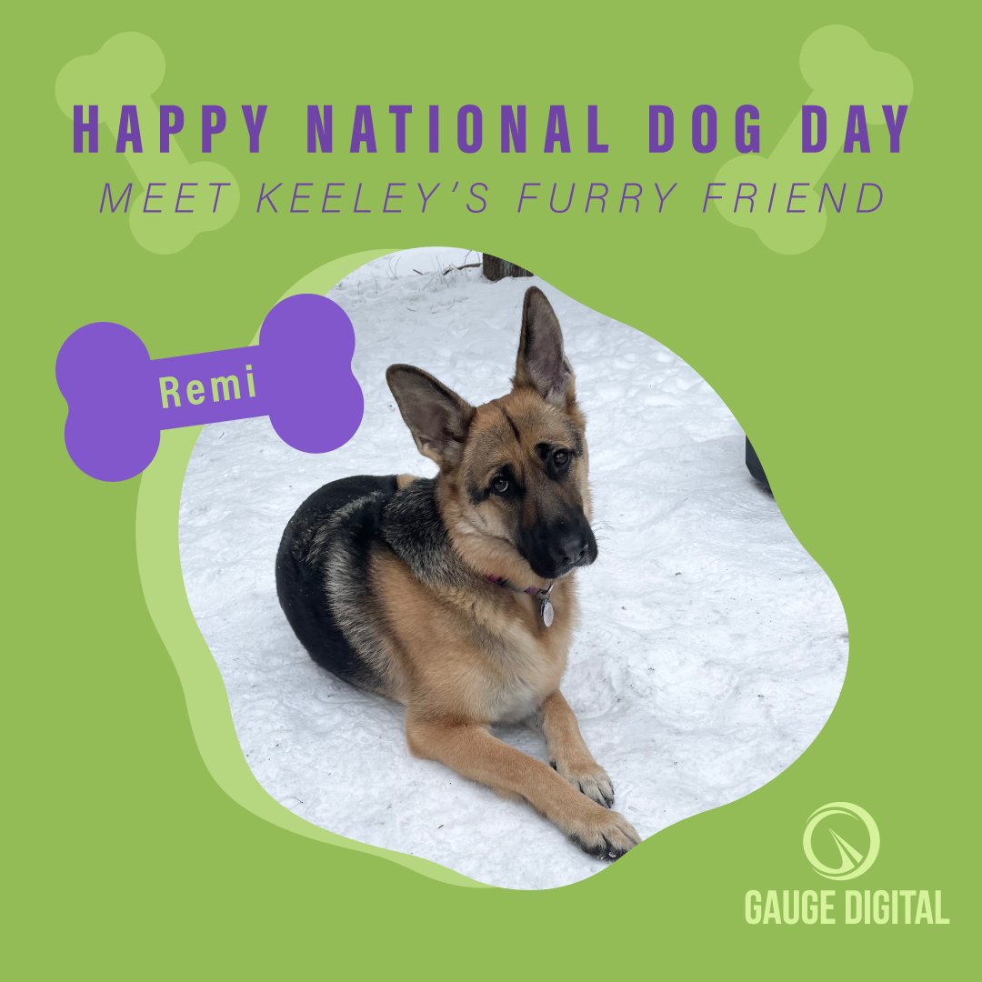 GaugeDigital's tweet photo. "Sorry about my dogs, we're working from home." 🐶

Today we would like to introduce the team members that many of our clients have heard (in the background of zoom meetings) but don’t know on a first-name basis. 

#NationalDogDay #dogcoworker #workfromhome #furryfriendfriday https://t.co/GpI1l93OCr