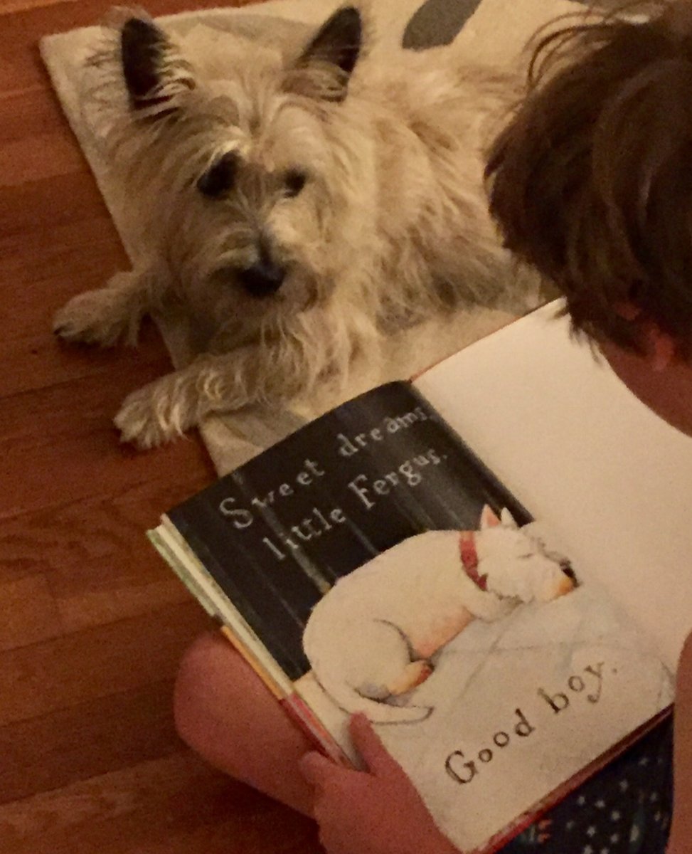 First Parish in Lexington MA tweet media