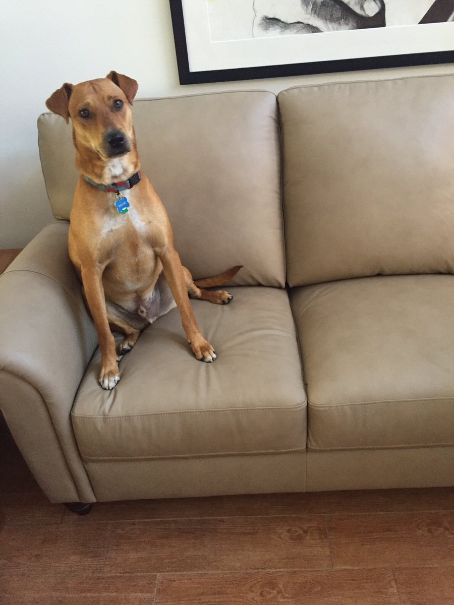 First Parish in Lexington MA tweet media