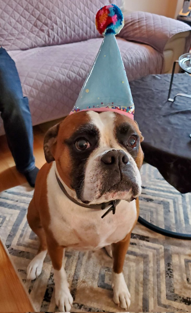 KimBoulet tweet media