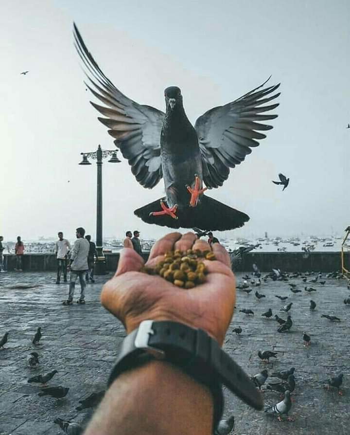 يا ربّ قد عز عليَ طلبي وهوَ عليك هيّن..