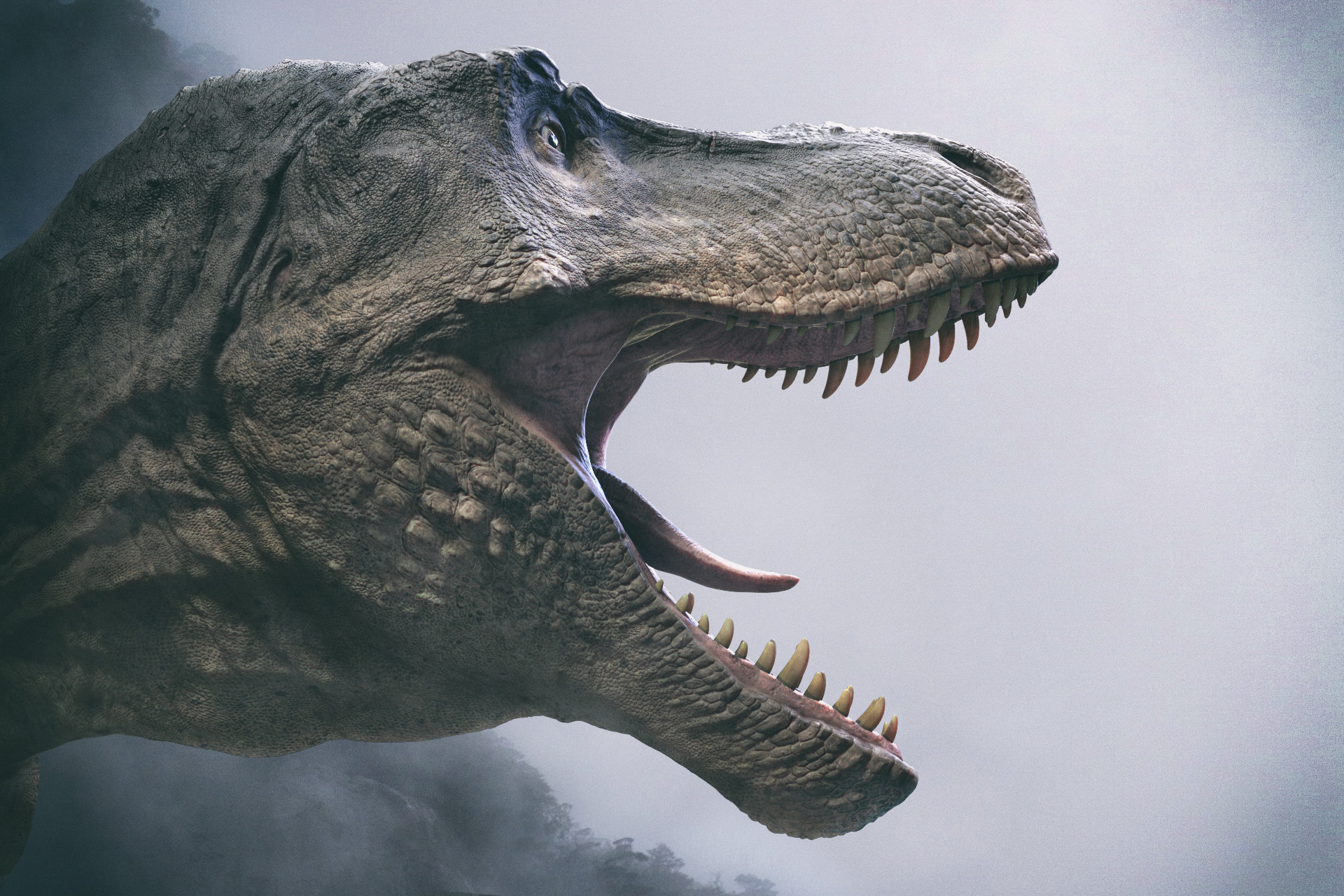 TurboSquid by Shutterstock (TurboSquid) / Twitter