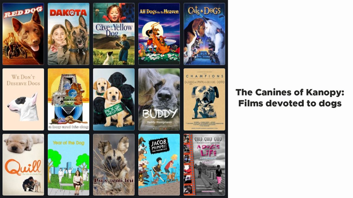 Kanopy (@kanopy) on Twitter photo In honor of #NationalDogDay, we created The Canines of Kanopy - Films devoted to dogs list on <a href="/letterboxd/">Letterboxd</a>. To view these films featuring our canine companions, go to kanopy.com. All you need is your library card.
List: boxd.it/i1k0U In honor of #NationalDogDay, we created The Canines of Kanopy - Films devoted to dogs list on <a href="/letterboxd/">Letterboxd</a>. To view these films featuring our canine companions, go to kanopy.com. All you need is your library card.
List: boxd.it/i1k0U