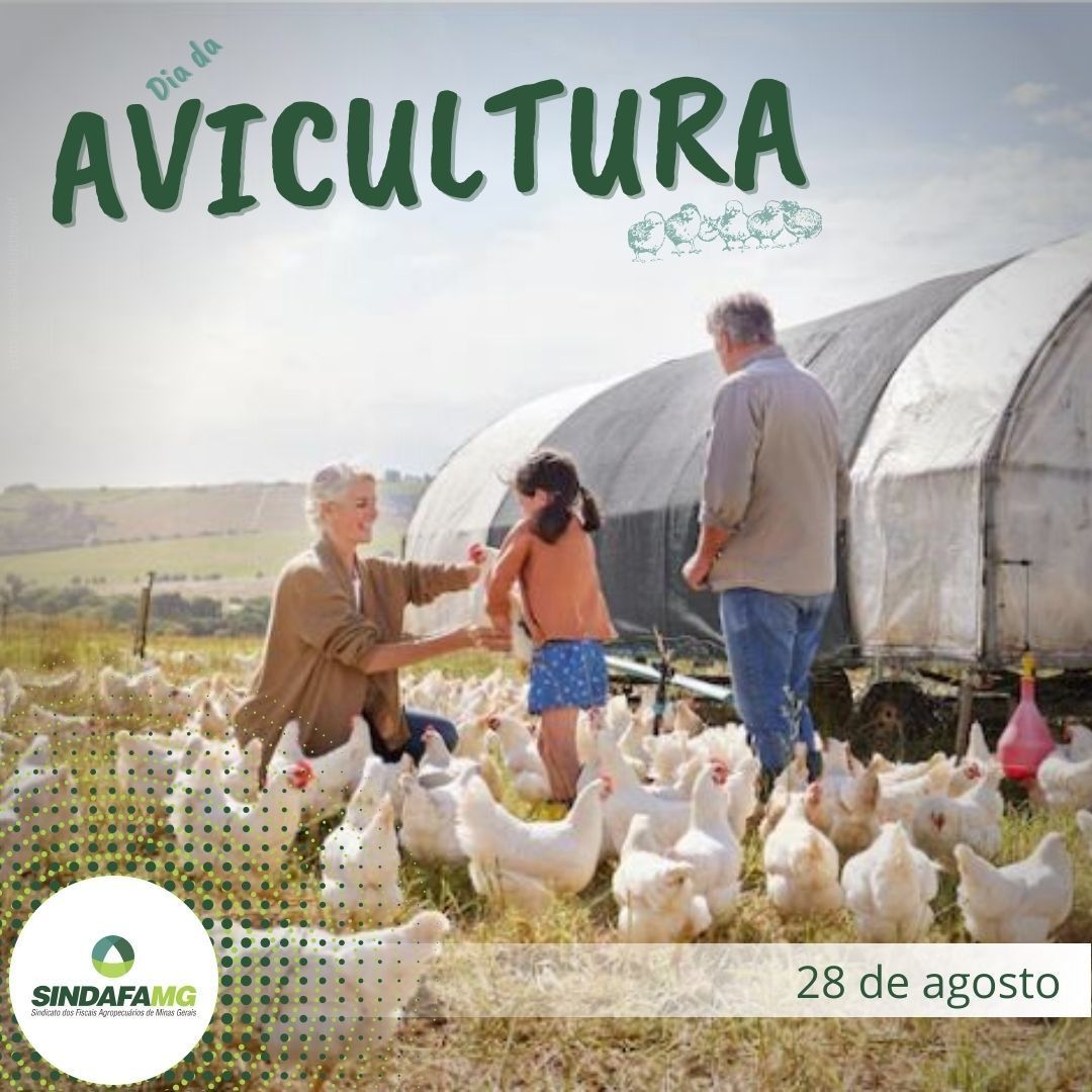 sindafamg's tweet photo. No dia 28 de agosto, Dia da Avicultura, o @sindafamg parabeniza os trabalhadores desta ampla #cadeiaprodutiva, a qual está em constante processo de modernização e melhoria. 🦚
Parabéns, #avicultores! 🐣
Leia em https://t.co/zL3ZxSUtiw! 🌐
#sindafamg #sindafa https://t.co/VavCQotTrV