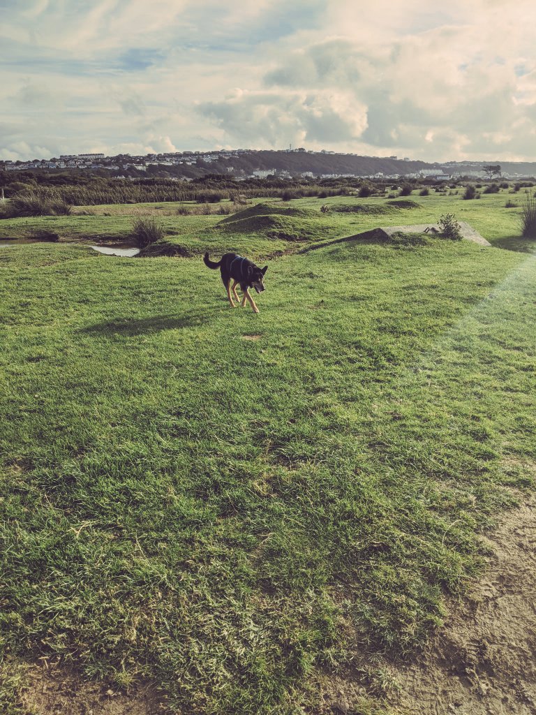 Cain 🌈 tweet media