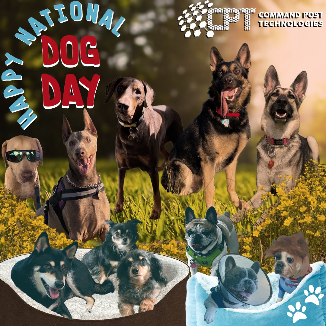 CommandPostTech's tweet image. Dear Twitter,

Happy National Dog Day!! Bark. We just broke out of the cyber kennel and found this park to play in. Bark. 

Sincerely,

The CPT Cyber Dogs
 🦴🐕‍🦺 🐩🐾
