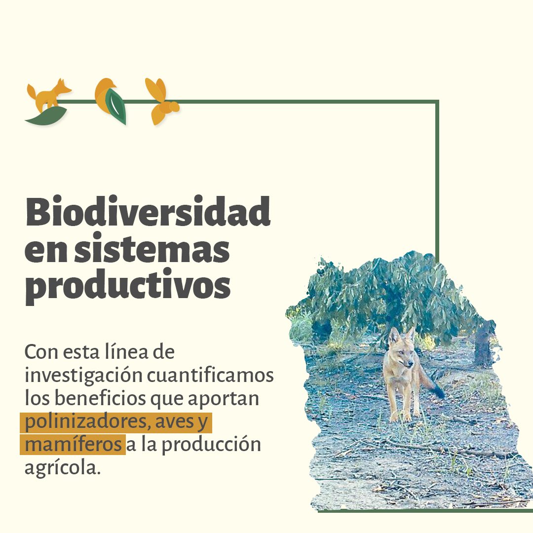 Intensificación Ecológica Chile tweet media