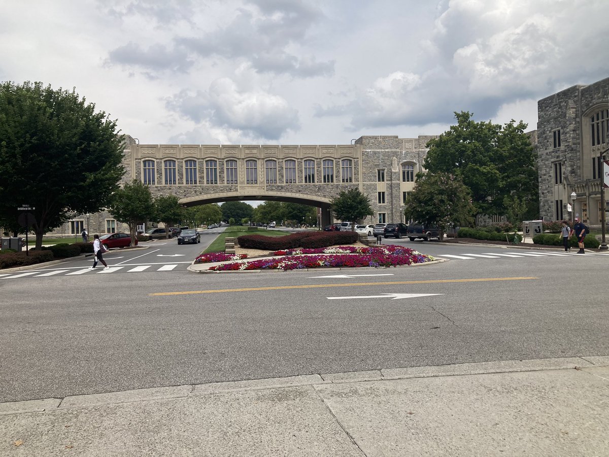 FeolaLab tweet media