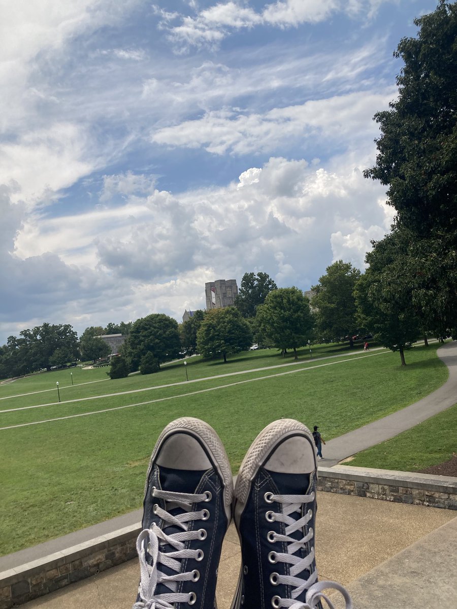 FeolaLab tweet media