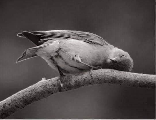 أعان الله الصامتين على ضجيج قلوبهم 💔