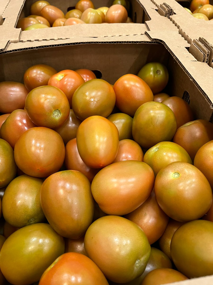 TripleHProduce's tweet photo. Are you looking for #RomaTomatoes, #PersianLimes, or #HabaneroPeppers?
Give a call to our #sales team to get a quote!
📲 956-782-5128 📧 sales@tripleh.com.mx
#SanDiegoCA 📍 & #McAllenTX 📍
#TripleHProduce #FreshProduce #NowInSeason https://t.co/qD9rVAH8in
