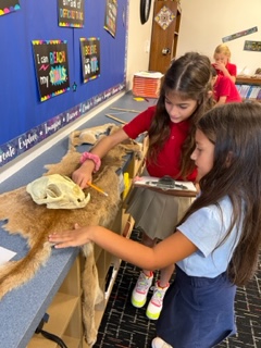 Trad_Bellair's tweet photo. Students in our S.P.A.R.K. program enjoyed learning about herbivores, carnivores, omnivores and climates at The Traditional Academy at Bellair this week. @DVUSD https://t.co/7APvfi8Sv7