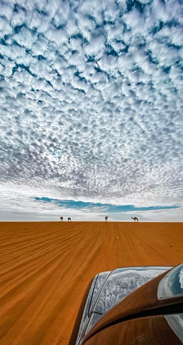 في الصورة ثلاث آيات✨

[أفلا ينظرون إلى الإبل كيف خُلقت]
[وإلى السماء كيف رُفعت]
[وإلى الأرض كيف سُطحت]