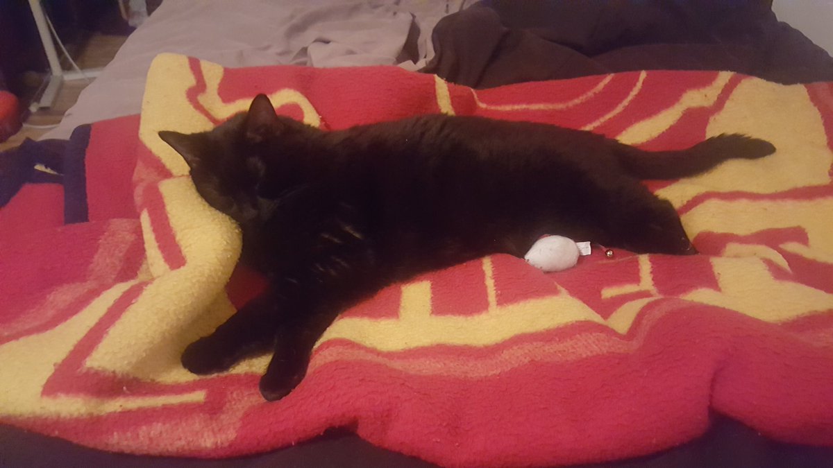 ChiefakaJames's tweet photo. 17 years was a great run, but holy shit does it hurt. RIP Coco. https://t.co/aay87vc8bv