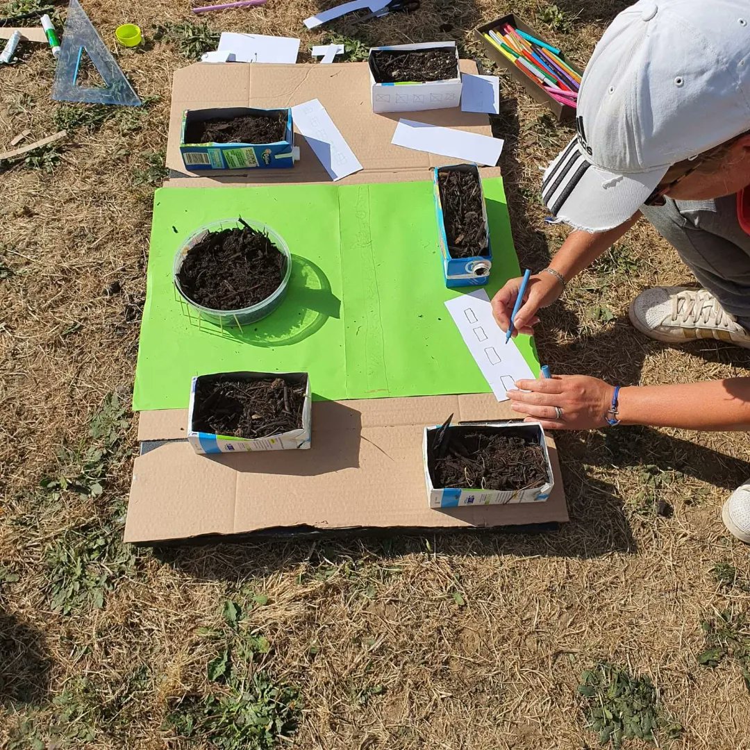 Work in progres ... Atelier Maquette du quartier Brossolette et Semis à #Malaunay 
On continue mercredi prochain 🌳☀️🏡🌳 Merci à <a href="/LogeoSeine/">Logeo Seine</a> pour leur confiance et aux résidents petits ou grands pour leur contribution 🐞🦋🐝