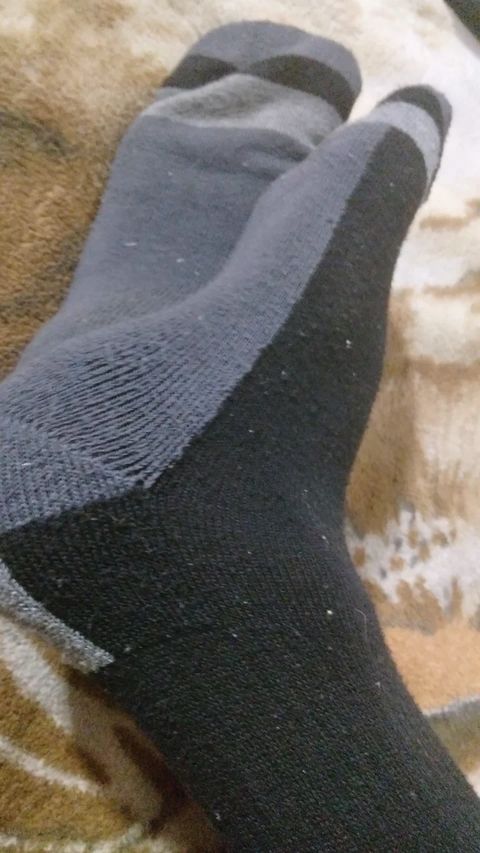 UltimaSox24's tweet photo. @soxdawg Sending you a sock pic too. Hoping it'll woof-up your day more. Haha. Hope you like. :) https://t.co/PaFseUb2ff