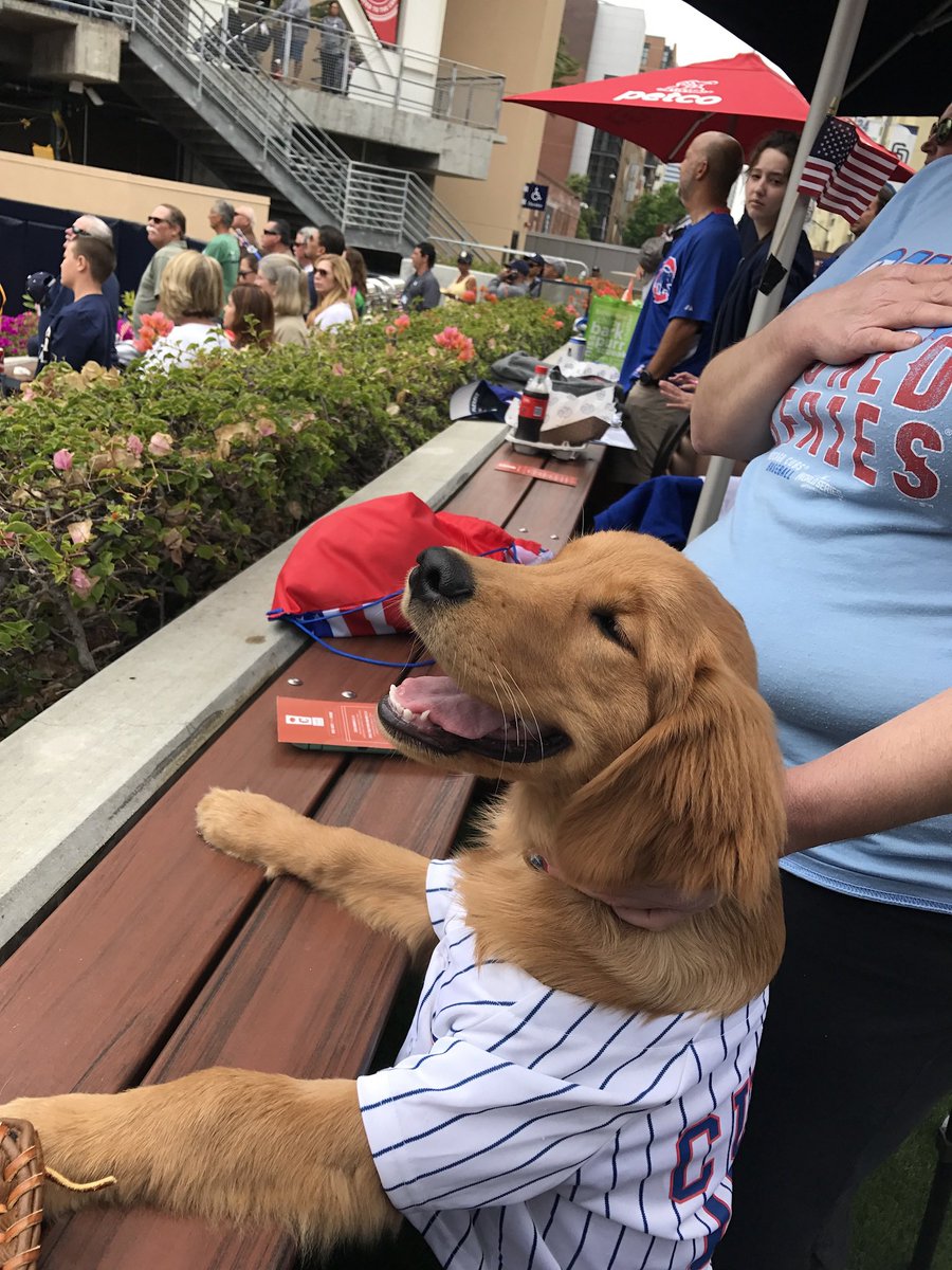 fearlessfitz's tweet photo. @WatchMarquee @Cubs @ClarktheCub Bryzzo standing for the national anthem before a @Cubs Padres game at the #barkyard https://t.co/pwHfhfnVjN