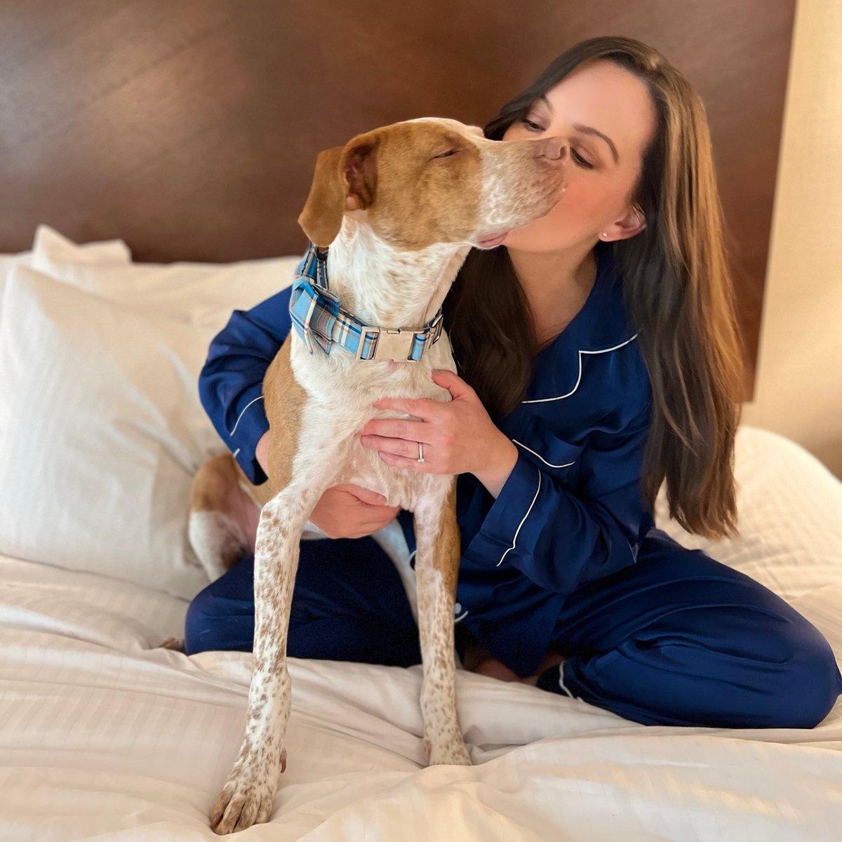 Hotel43's tweet photo. Happy National Doggy Day! 🐶 Wanna spoil your fur child as much as we do? Book your room today, and receive some goodies! Link in Bio! 🖤

#hotel43 #uniqueboutique #petfriendlyhotel #nationaldogday https://t.co/Mby1Lq22Fv