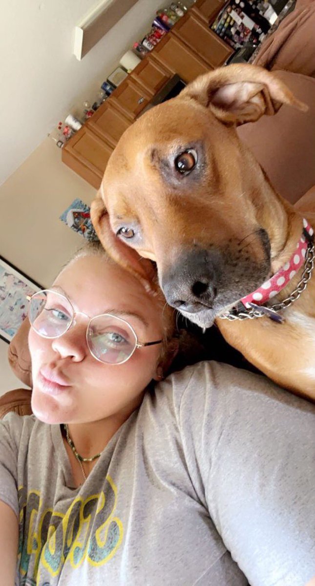 UDallasSoftball's tweet photo. A Dallas doggo is the best doggo #BleedBlue #DefendTheTower https://t.co/39NDsP5yBt