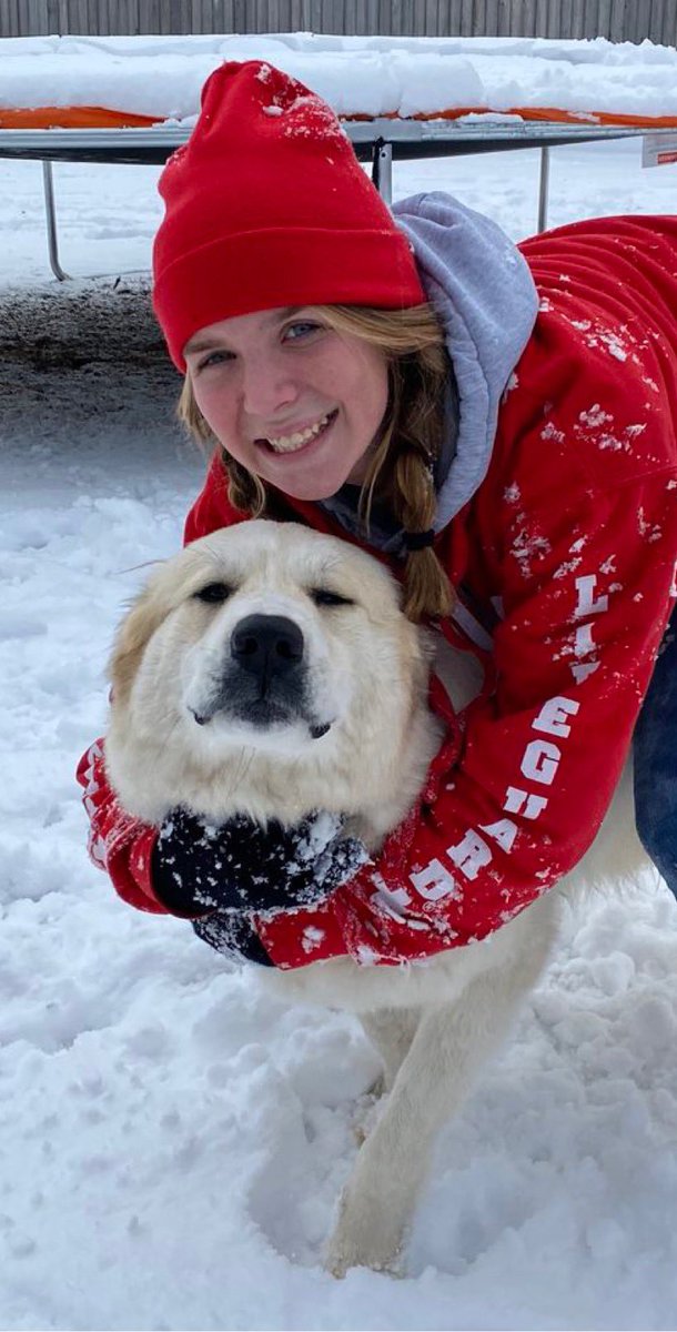 UDallasSoftball's tweet photo. A Dallas doggo is the best doggo #BleedBlue #DefendTheTower https://t.co/39NDsP5yBt