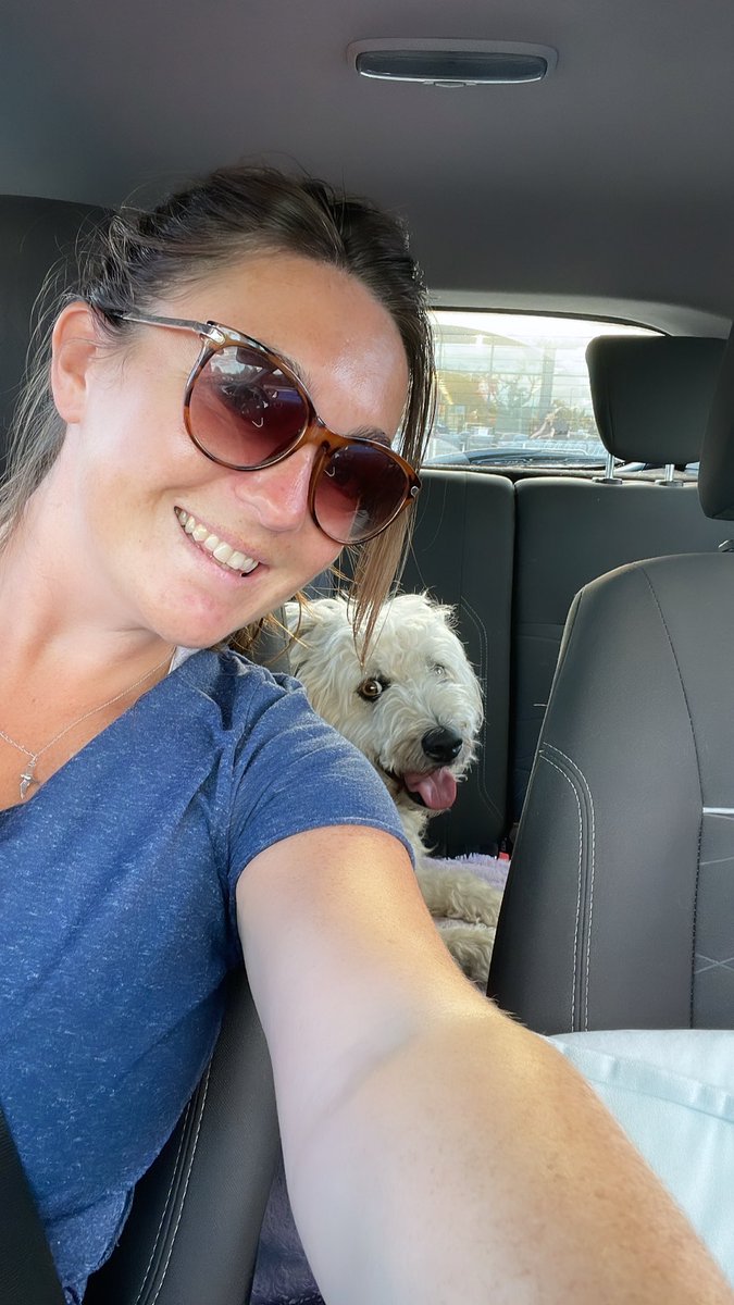 sophielflynn's tweet photo. Nellie and I are watching Friday Night Live from Aldi car park like true super fans. Good luck to everyone reading tonight - let’s hope to make some agent matches 🙏🤞♥️ @JerichoWriters #FNL #SFoW #SFoW22 https://t.co/7J9NX9sfxV